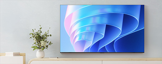 4K Mini LED液晶レグザ 100Z770R イメージ