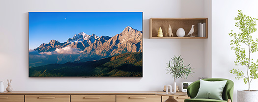 4K 液晶レグザ 85M550R イメージ